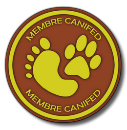 pasted-image-thu-dec-05-2024-14-25-05-gmt-0100-heure-normale-d-europe-centrale-standard