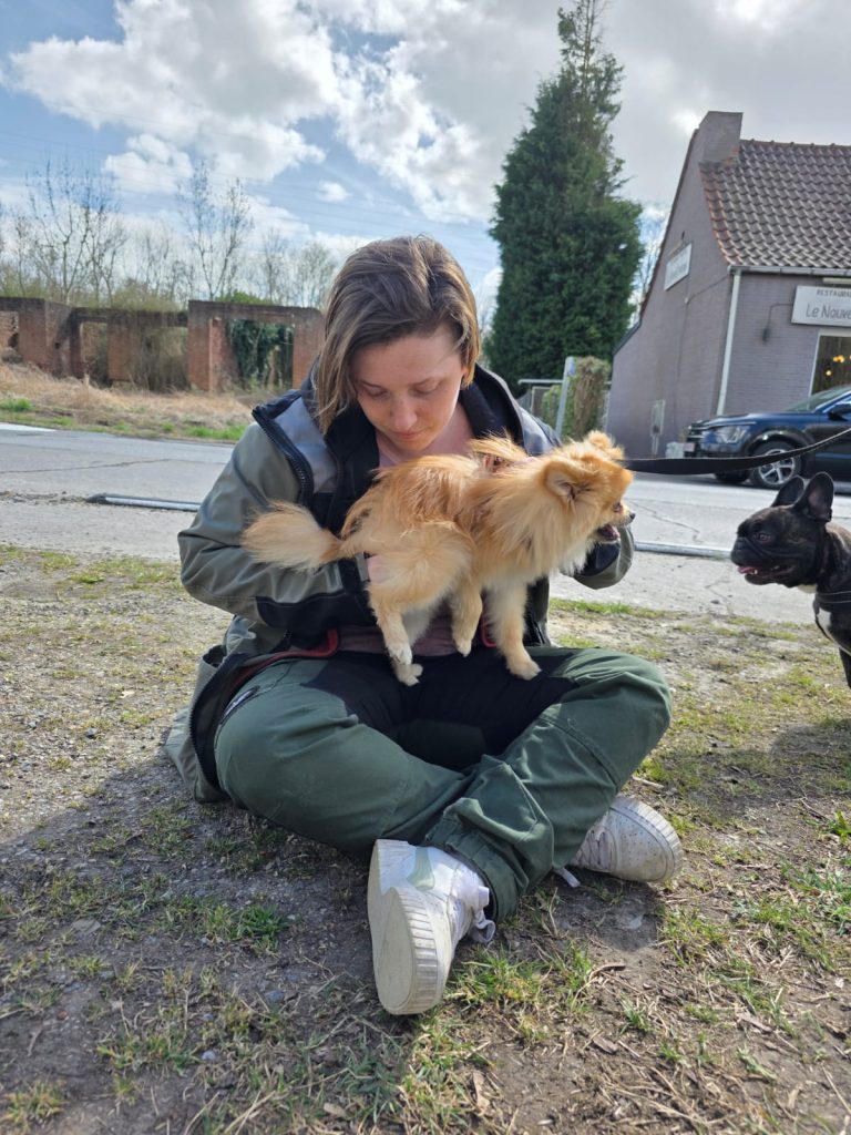 Massage et Soins Énergétiques pour animaux